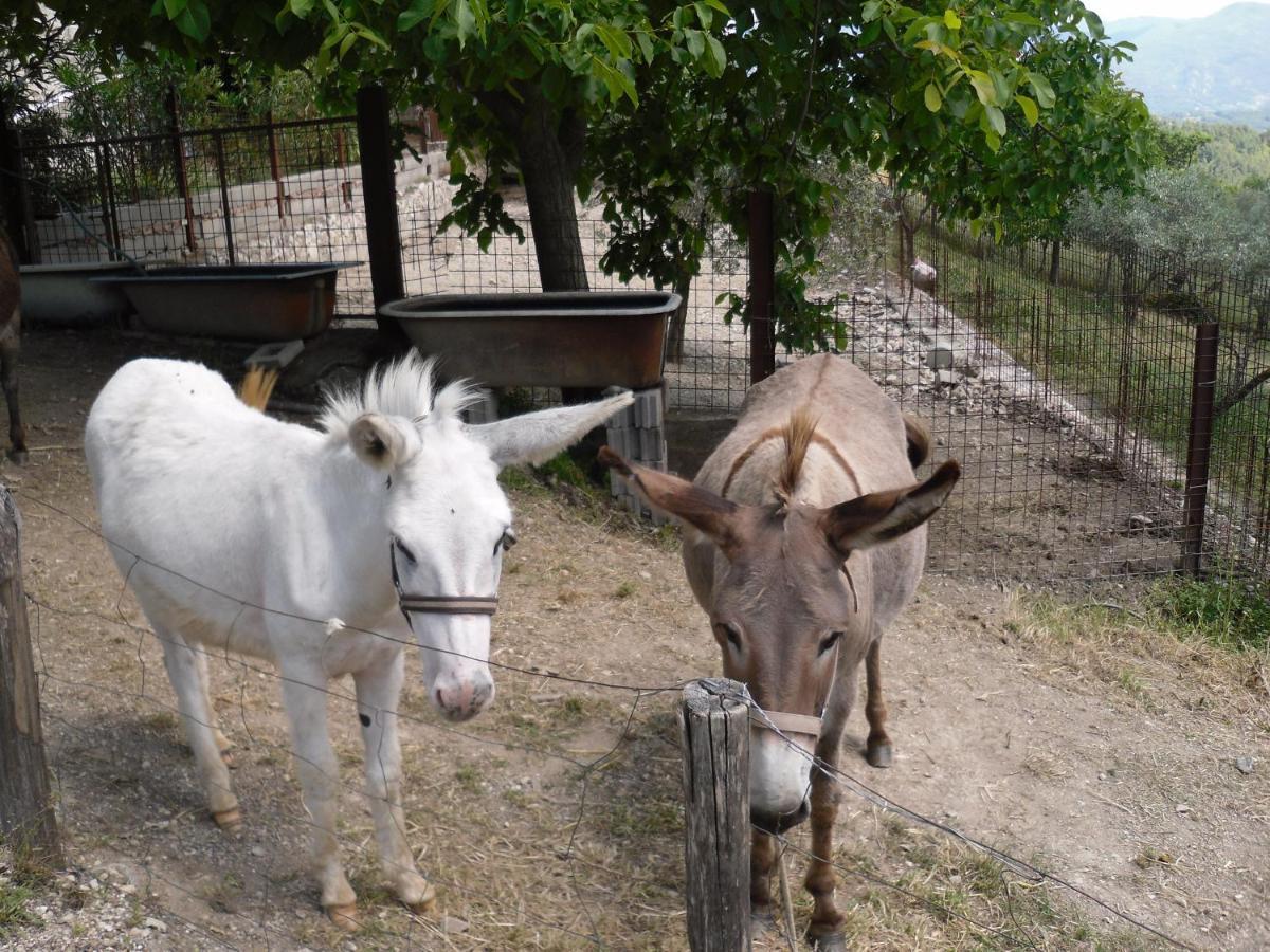 Montanari Agrivillage Нарни Экстерьер фото