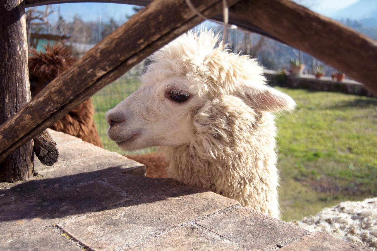 Montanari Agrivillage Нарни Экстерьер фото